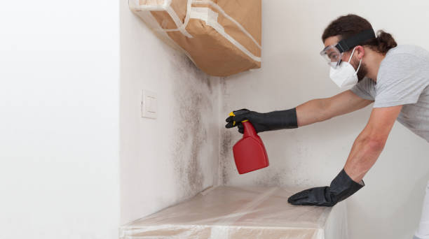 Professional Basement Mold Remediation technician working in Hickory Corners, MI