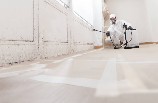 24/7 Emergency Basement Mold Remediation experts in Hickory Corners, MI
