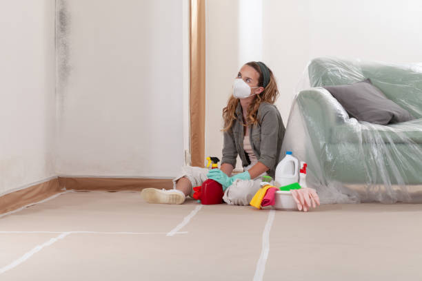 Reliable Basement Mold Remediation contractor in Hickory Corners, MI by Car Mold Remediation
